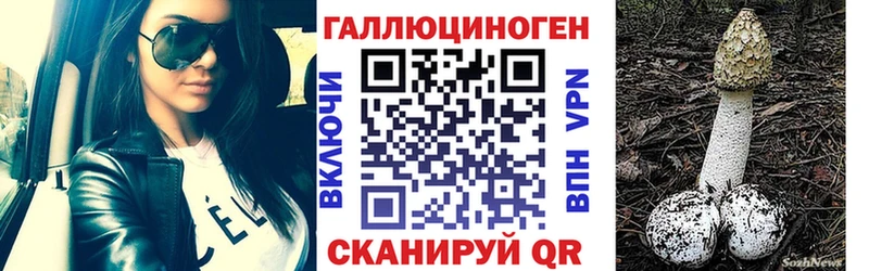 наркотики  hydra зеркало  Псилоцибиновые грибы Magic Shrooms  Магас 