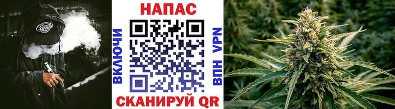 Канабис планчик где купить Магас